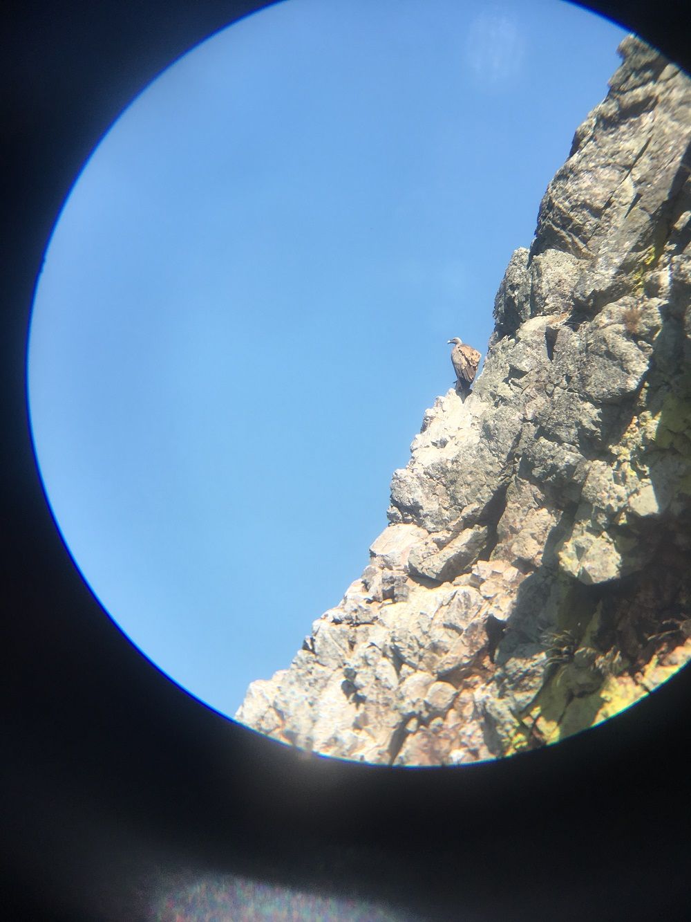 MONFRAGUE