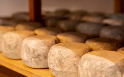 RUTA DEL QUESO DE EXTREMADURA